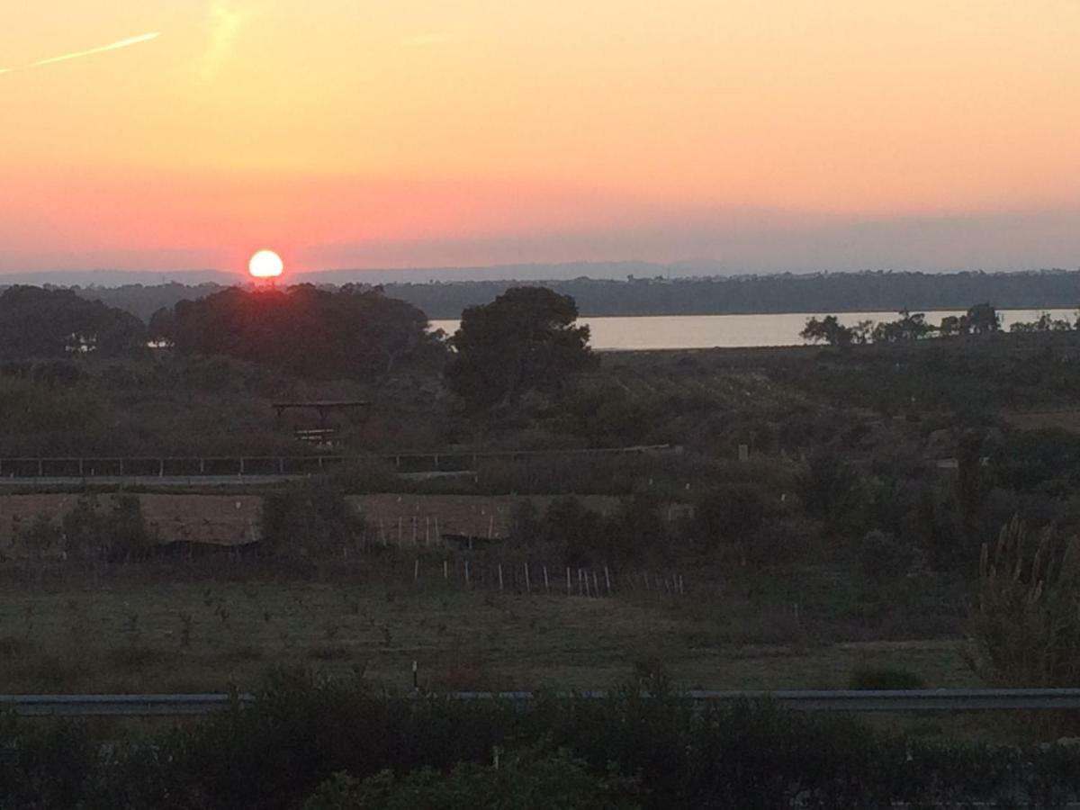 Sunset La Mata Leilighet La Mata  Eksteriør bilde